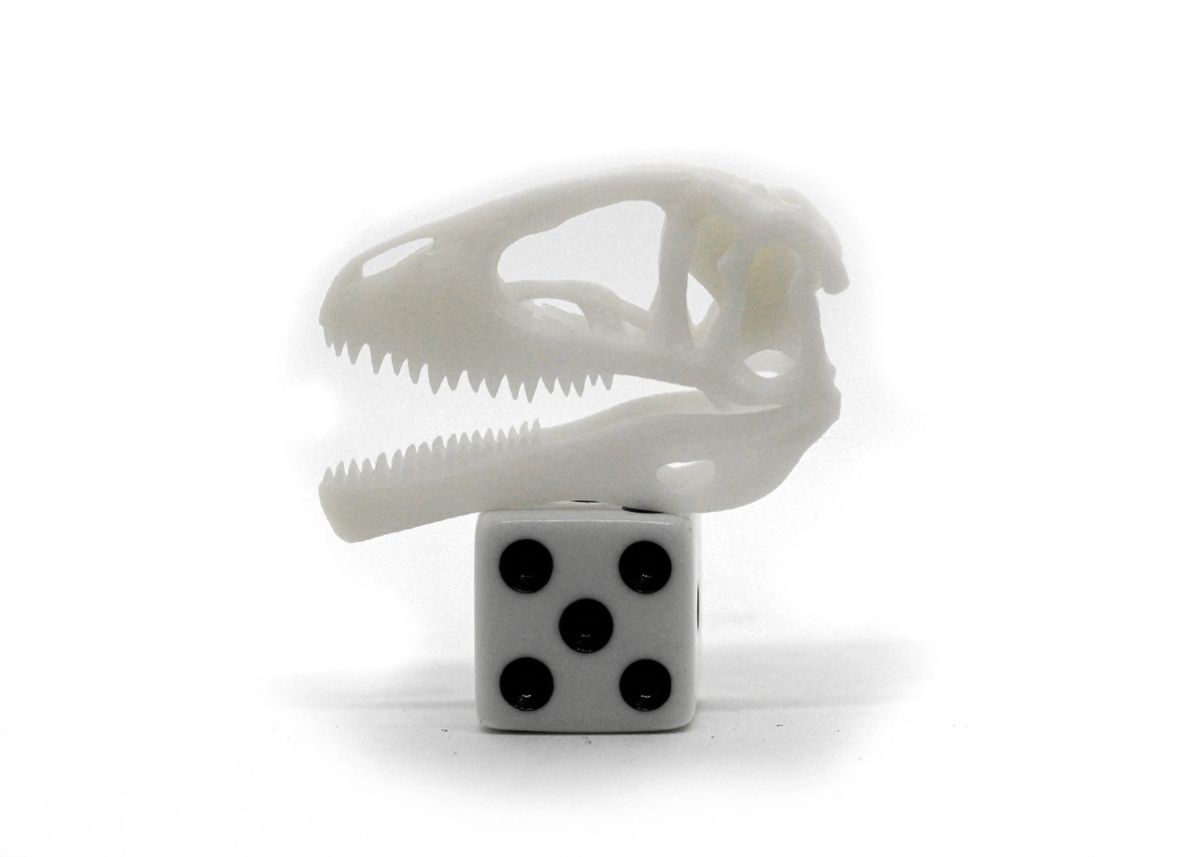 D Printed T Rex Skulls Culturenut