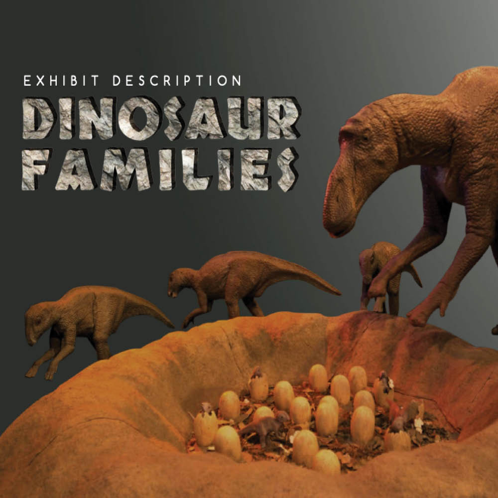 Dinosaur Families