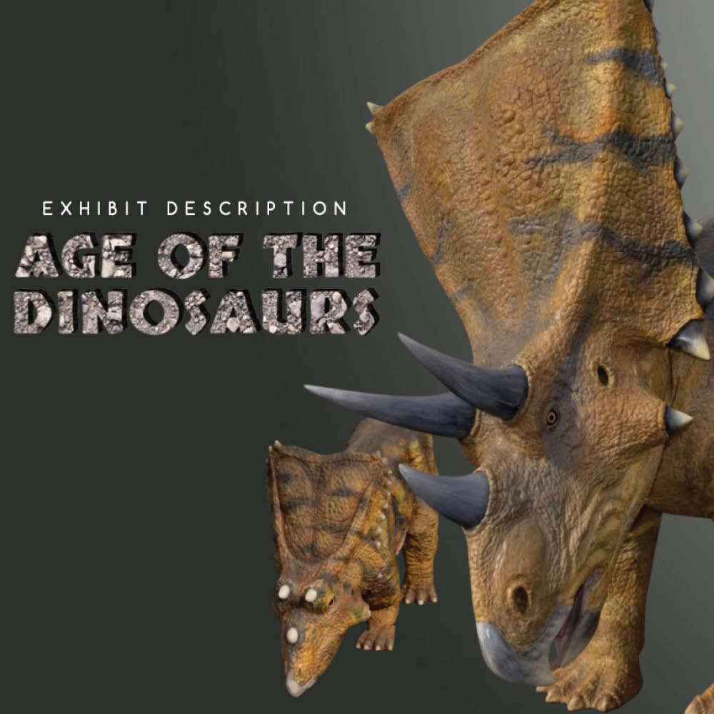 Age of Dinosaurs