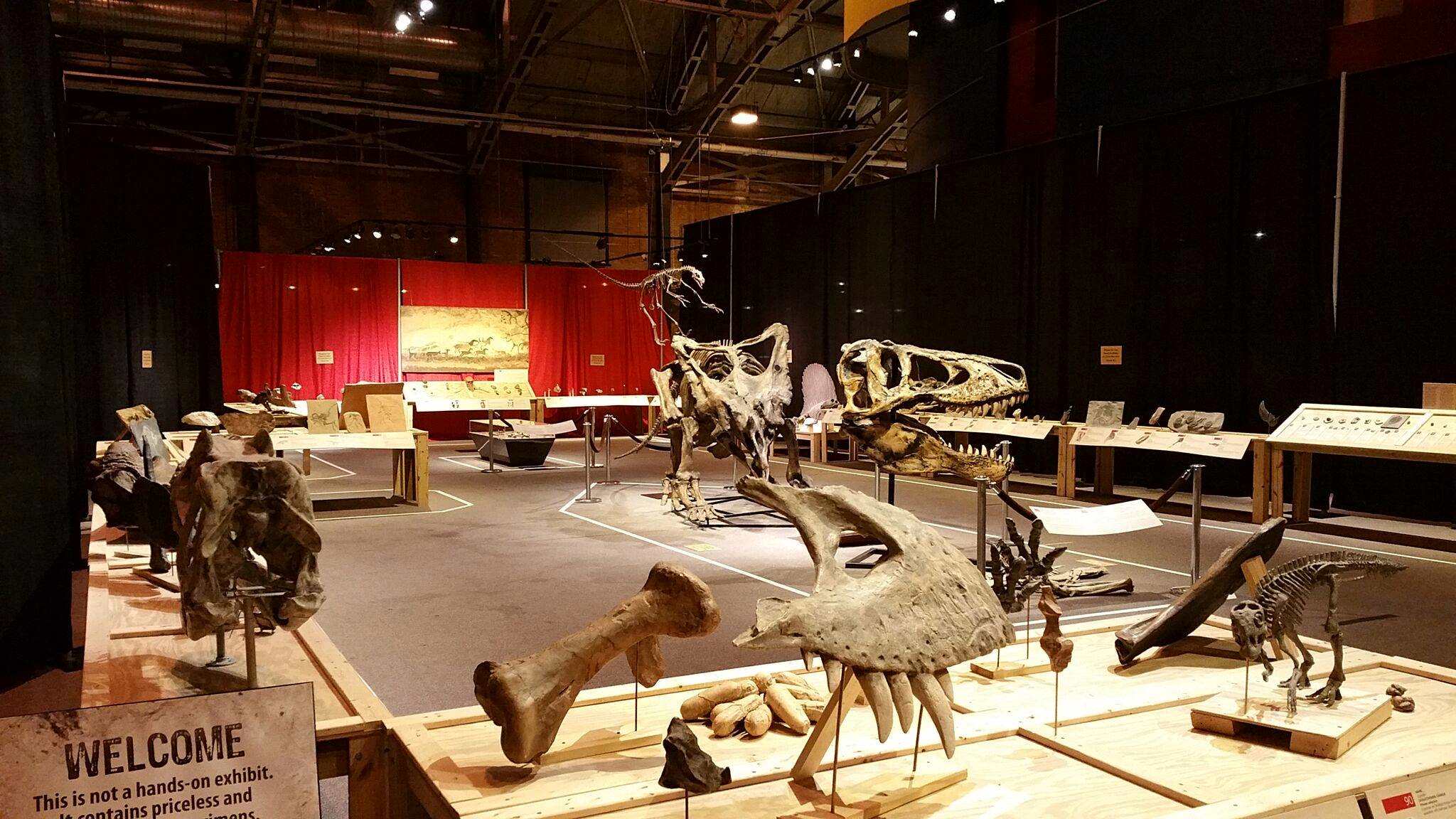 Paleo: The Story Of Life