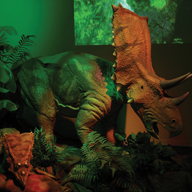 Dinosaur Families
