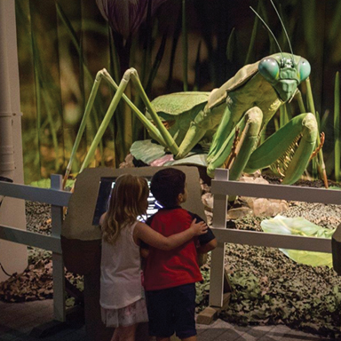 Giant Insects from Kokoro Exhibits